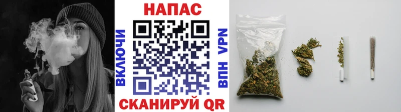 mega зеркало  нарко площадка наркотические препараты  Шишки марихуана THC 21%  Амурск 